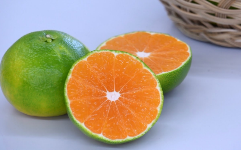 green house mikan green house mikan